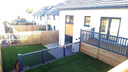 Darnley-Hill-20