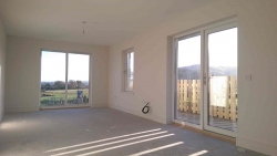 Darnley-Hill-24
