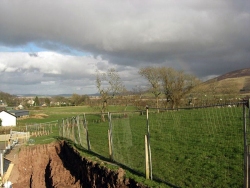 Darnley-Hill-3