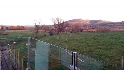 Darnley-Hill-37