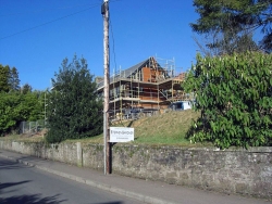 Ewanfield-5