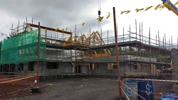 Hollybank-11