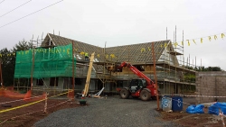Hollybank-13