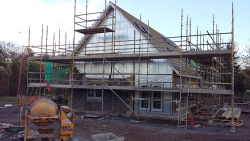 Hollybank-20