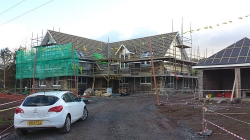 Hollybank-22