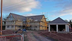 Hollybank-28