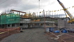 Hollybank-7