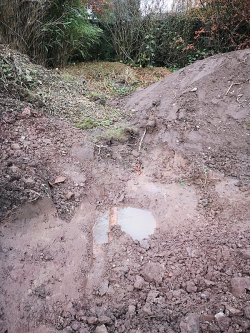 Orchil Road - 6