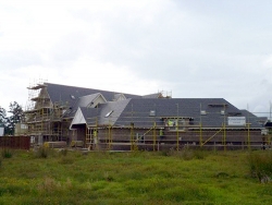 Plot12-Queens-1