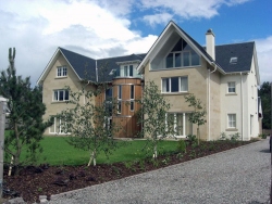 Plot12-Queens-8