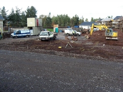 Plot5QueensCres-1