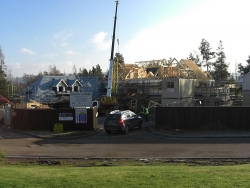 Plot5QueensCres-11