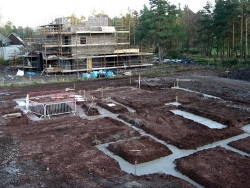 Plot5QueensCres-2
