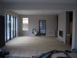 Plot5QueensCres-20
