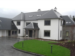 Plot5QueensCres-28