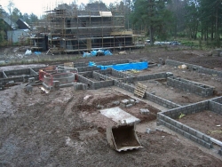 Plot5QueensCres-3