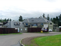 Plot5QueensCres-6