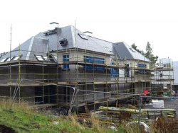 Plot5QueensCres-8