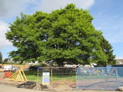 St Serfs - Plot 10 - 8